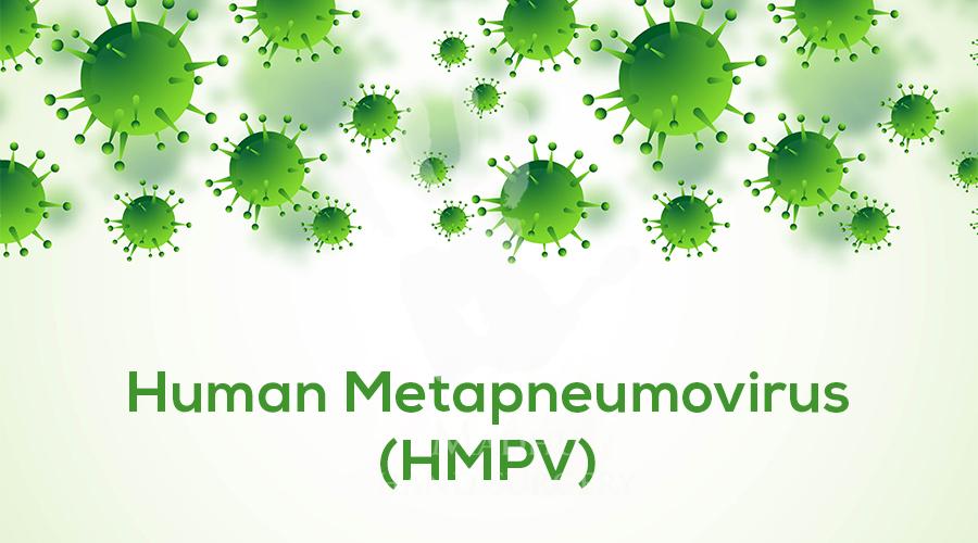 Human Metapneumovirus