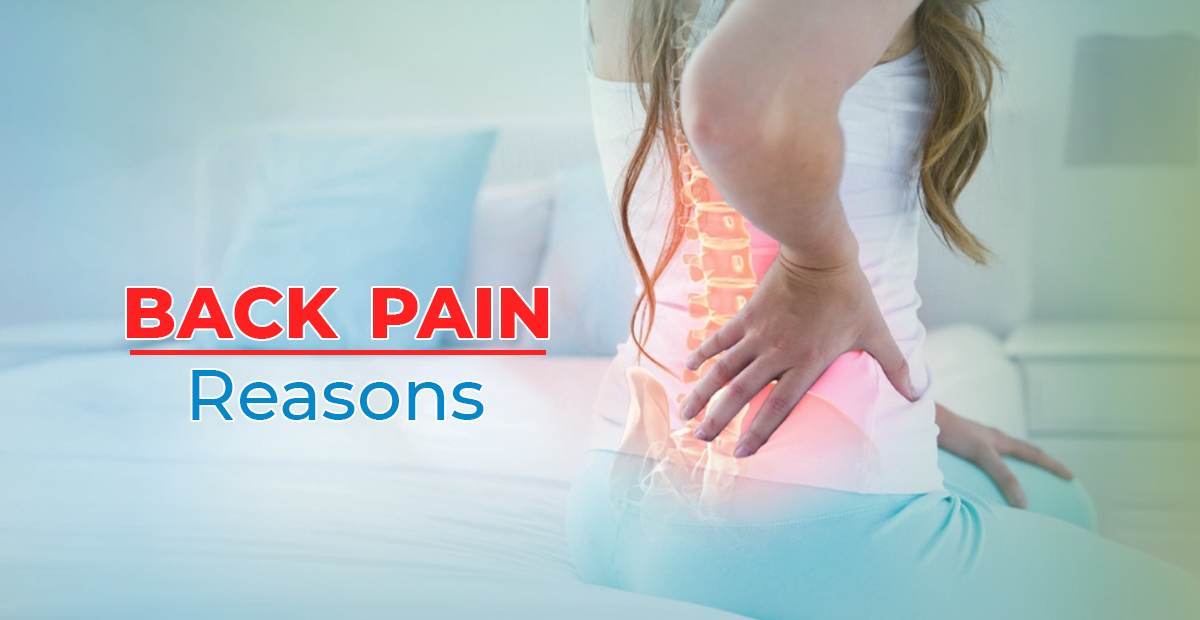 Back Pain Reasons